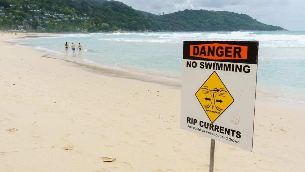    Фото: Thomas Collett/Shutterstock/Fotodom