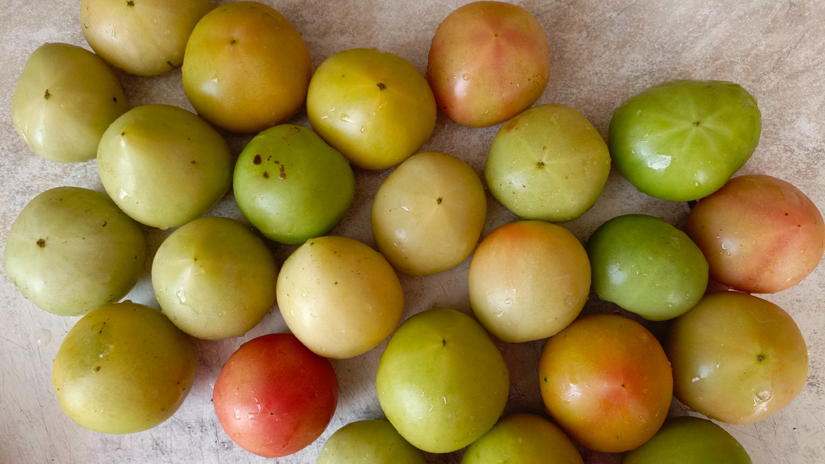 Фото автора.