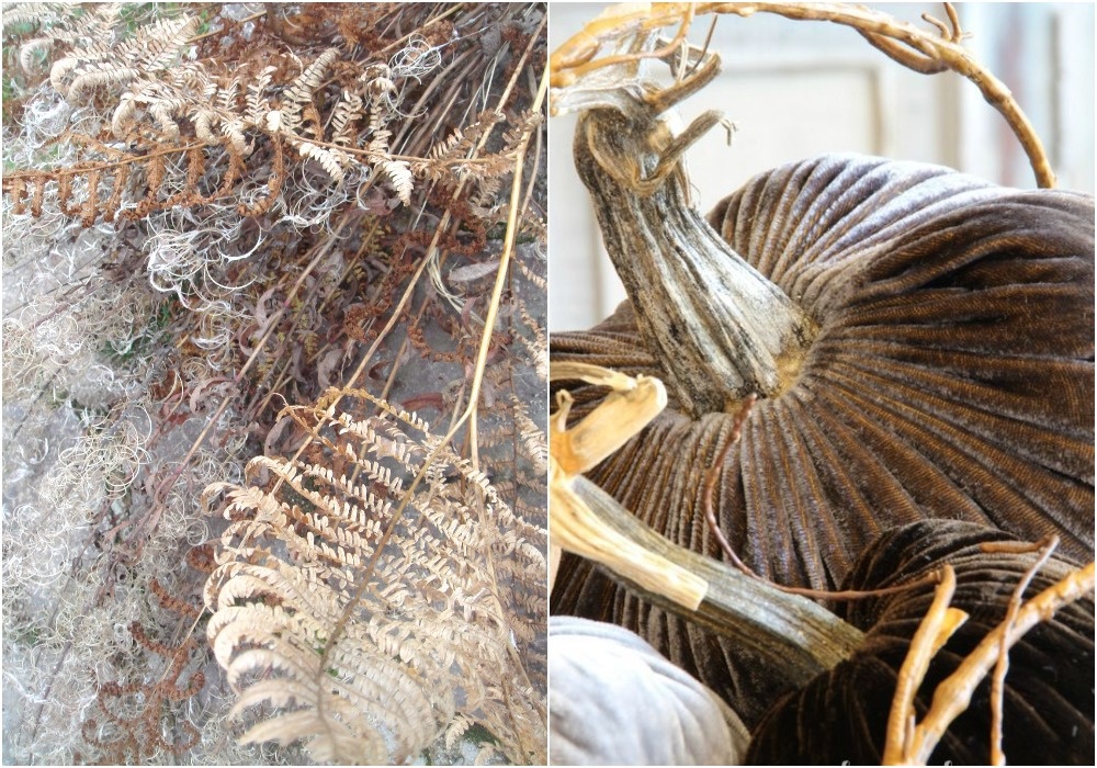 2. Травы и барочная, роскошная бархатная тыква.