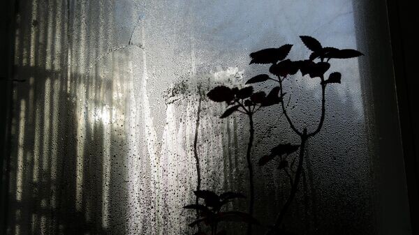    © Getty Images / Viola Lopes