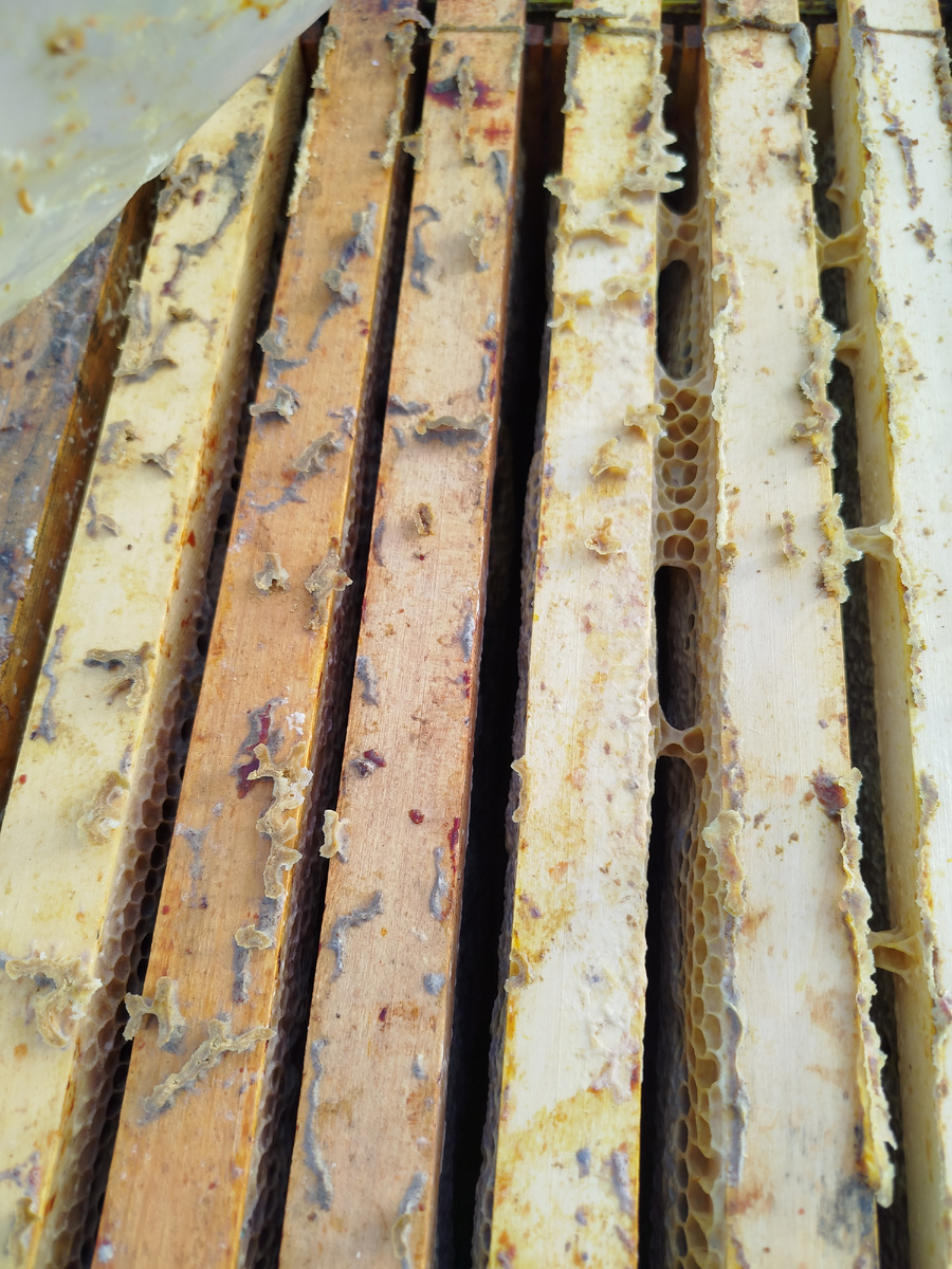 Верхний корпус.