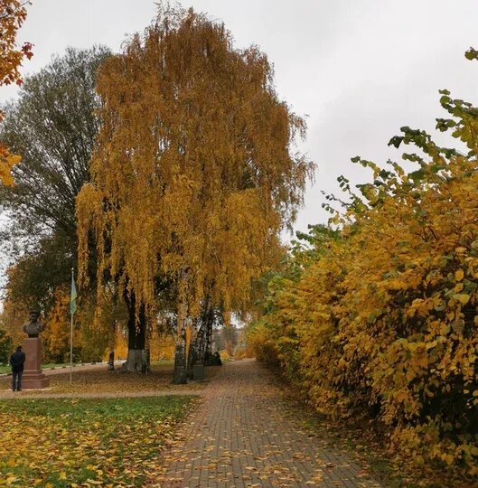 Осень – время красок, вдохновения и перемен