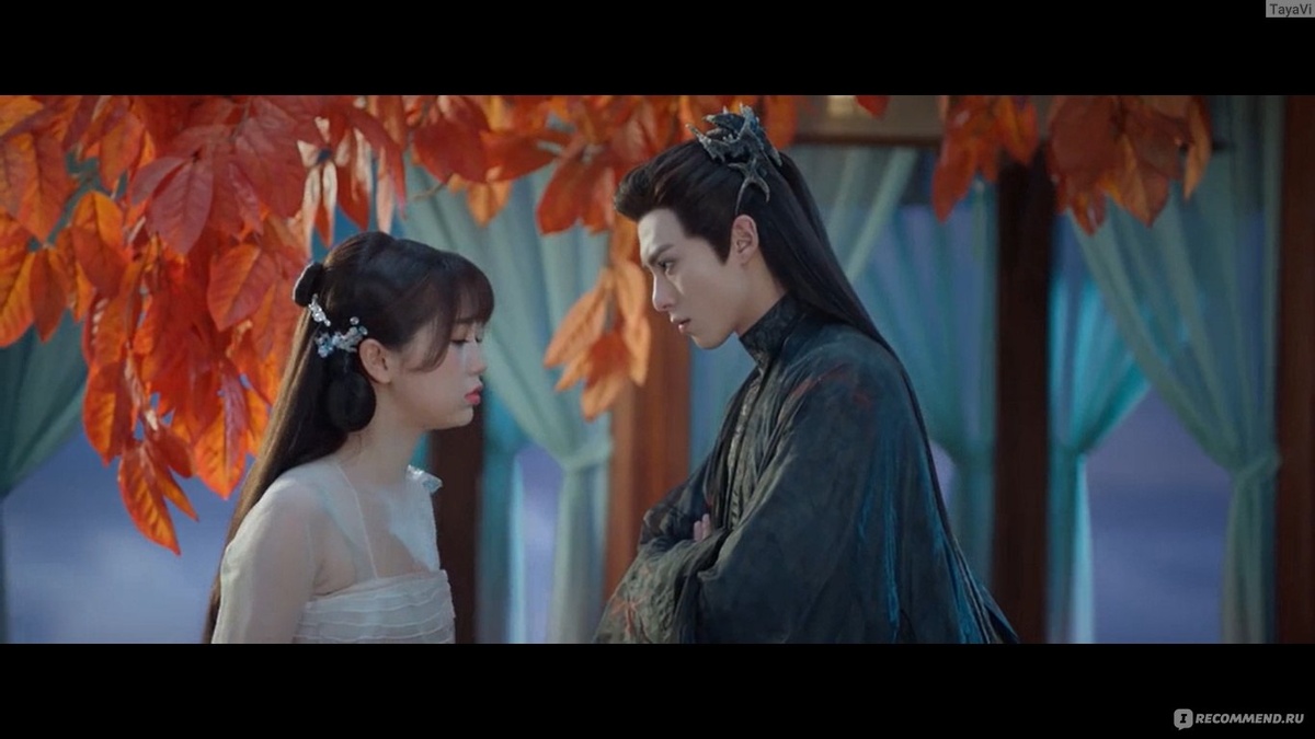 Амедиатека