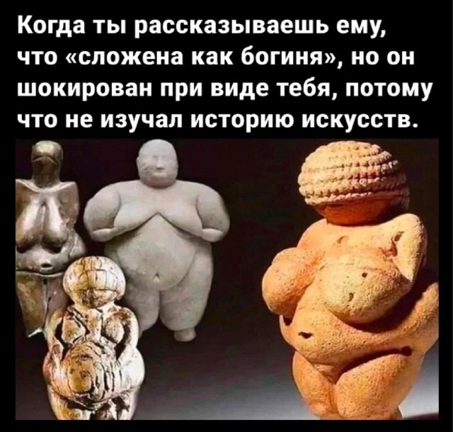 Небольшая тематическая подборка: котики, еда и ЗОЖ -5