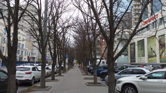 Иллюстрация: © «Панорама»