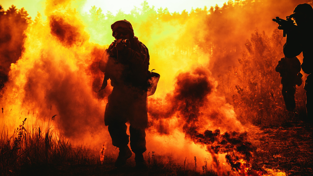    Фото: Getmilitaryphotos/shutterstock