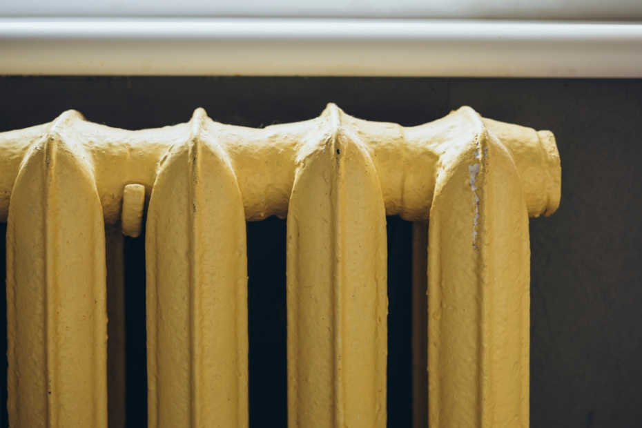    Shutterstock/FOTODOM