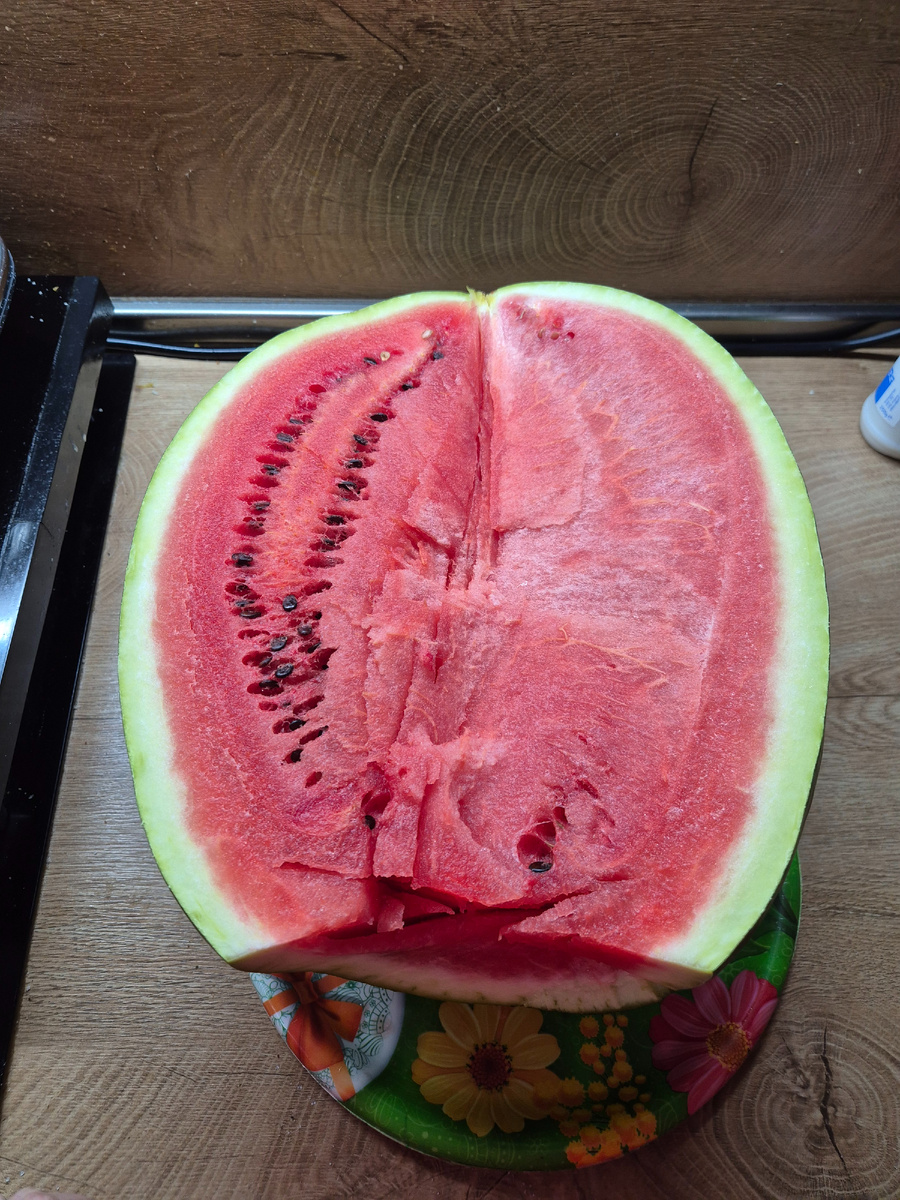 Один из последних октябрьских арбузов.