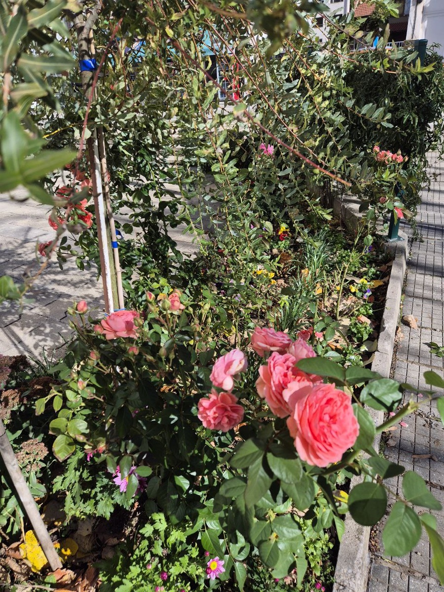 И еще немного красоты...