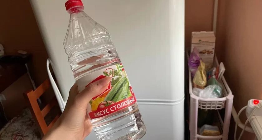    С первым снегом покупаю 3 л уксуса - и не мучаюсь, как городские: посоветовал дедушка из Сибири - дома тихо до весны