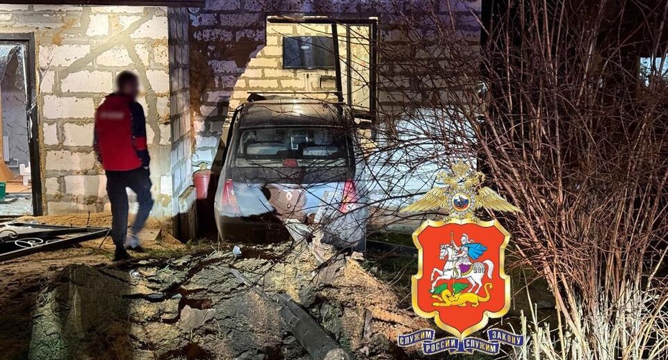    ГУ МВД России по Московской области / Telegram