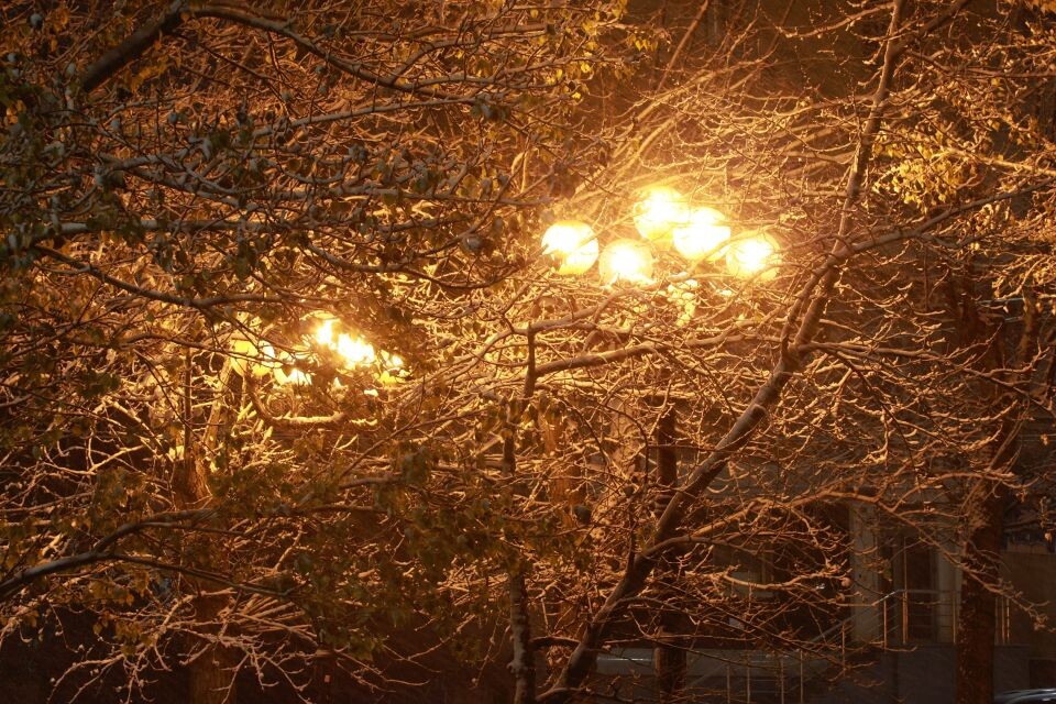    Первый снег в Барнауле. Источник: Олег Укладов