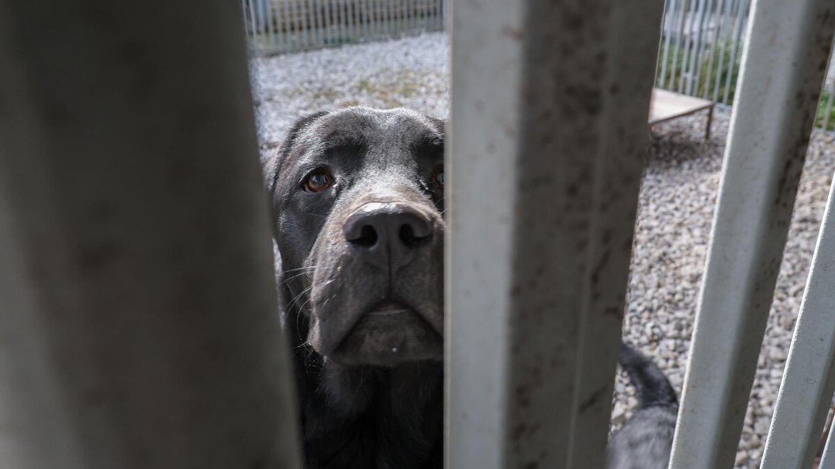    Фото: Belkin Alexey/news.ru/globallookpress.com