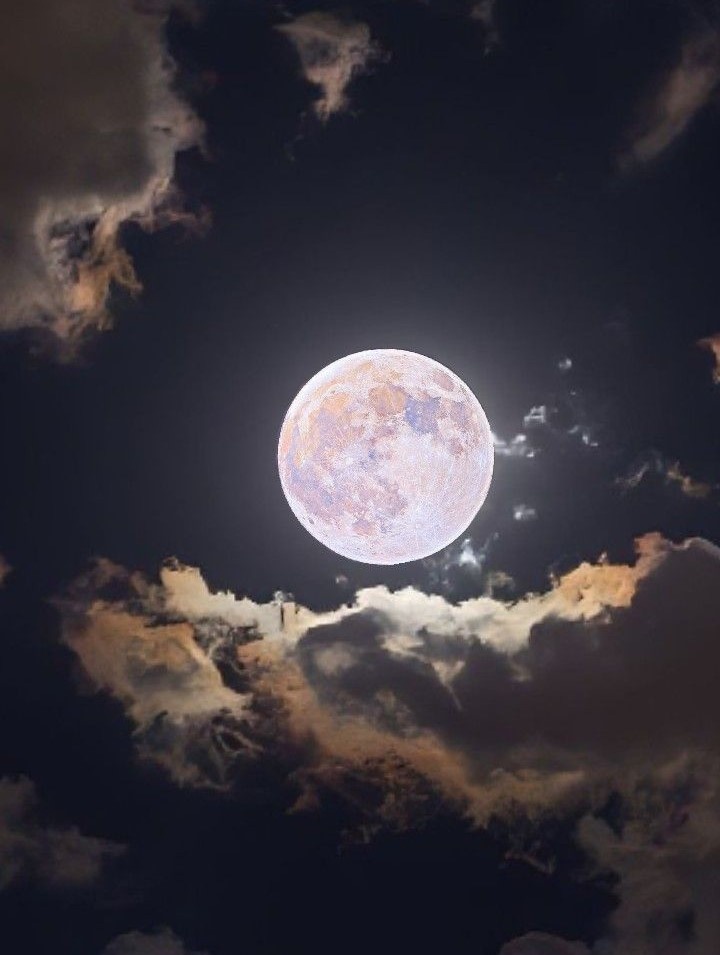 Изображение взято из открытых источников.