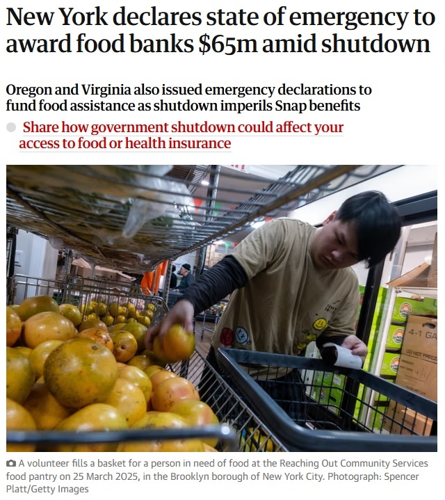    Фото: скриншот статьи The Guardian