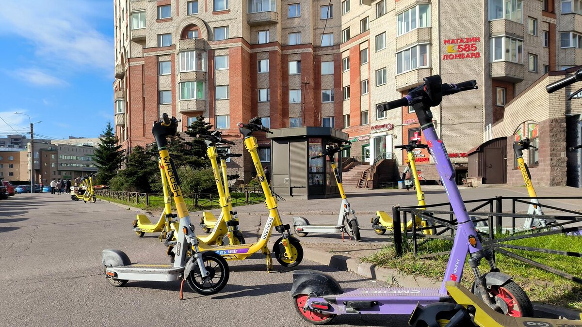    Фото: Maksim Konstantinov/Global Look Press/globallookpress.com