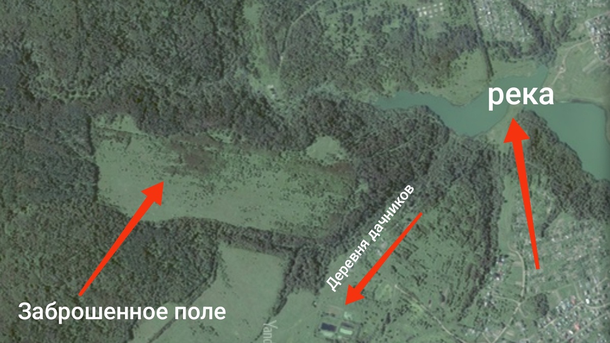 Снимки со спутника . 