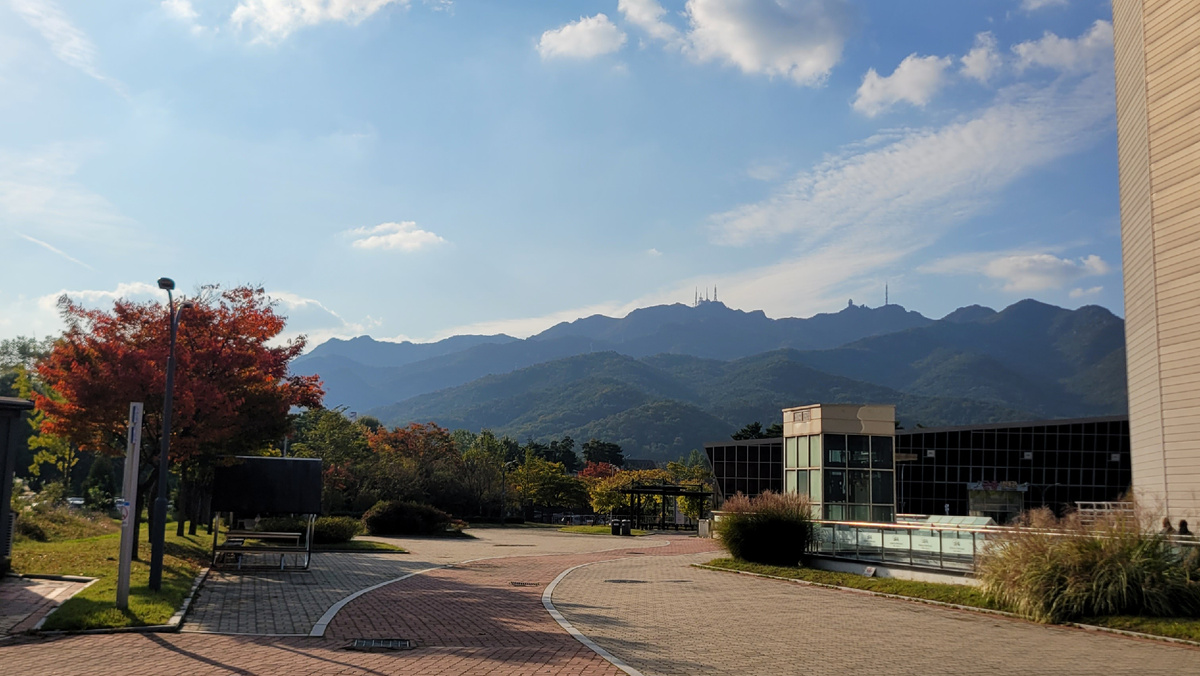 Все фото в статье сделаны автором статьи. 