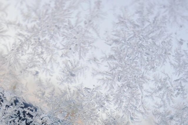  Фото: аиФ/ Евгения Хомицкая