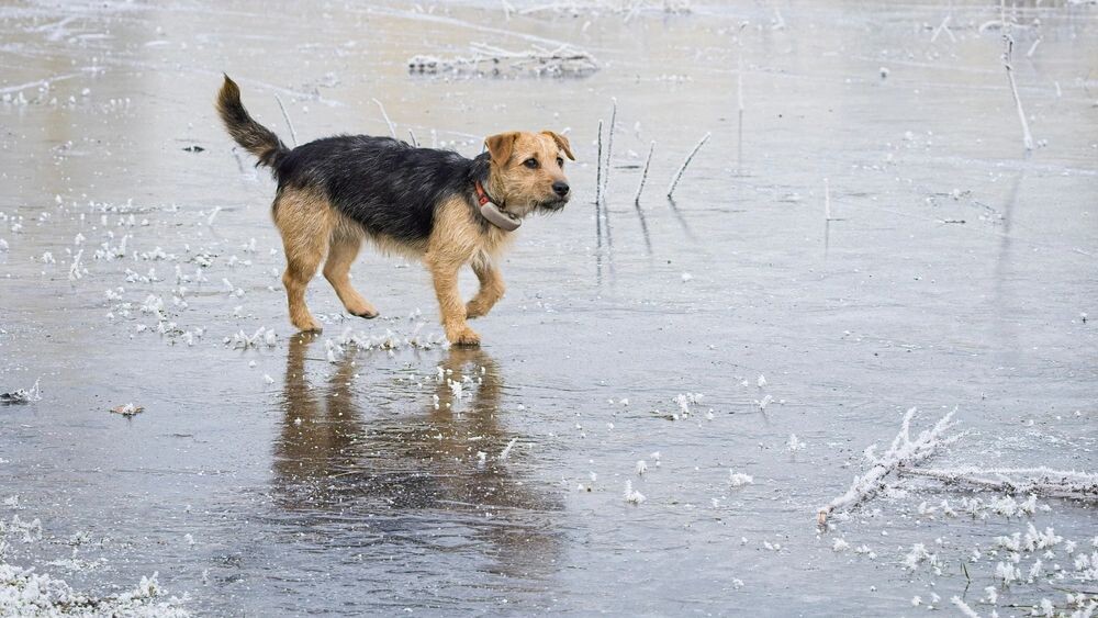    Фото: Rob Lavers RIBA ARPS/Shutterstock/Fotodom