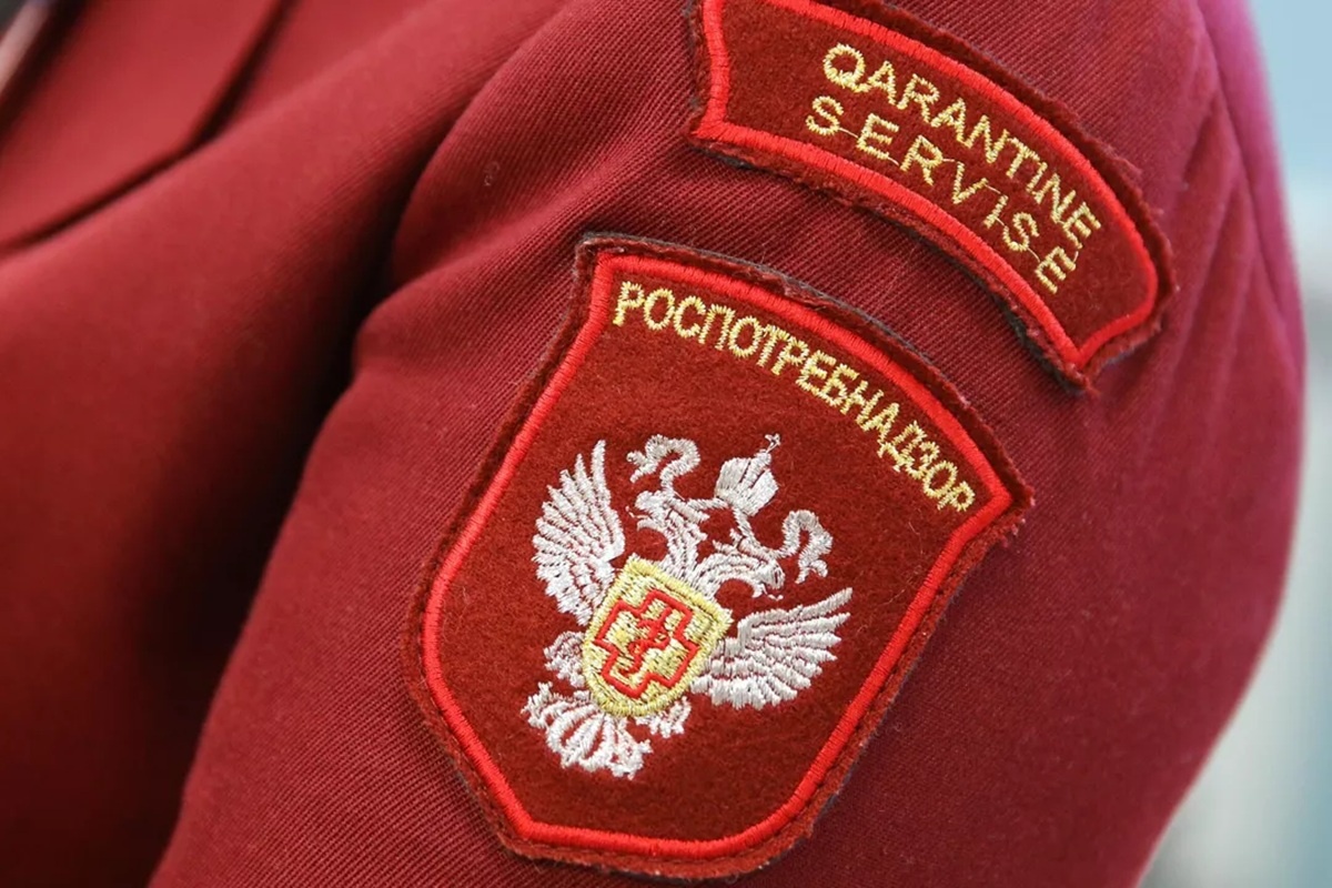    Фото: Виталий Тимкив, источник РИА Новости