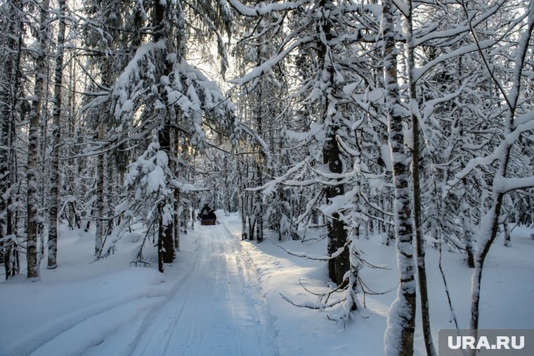     Поиски семьи продолжаются