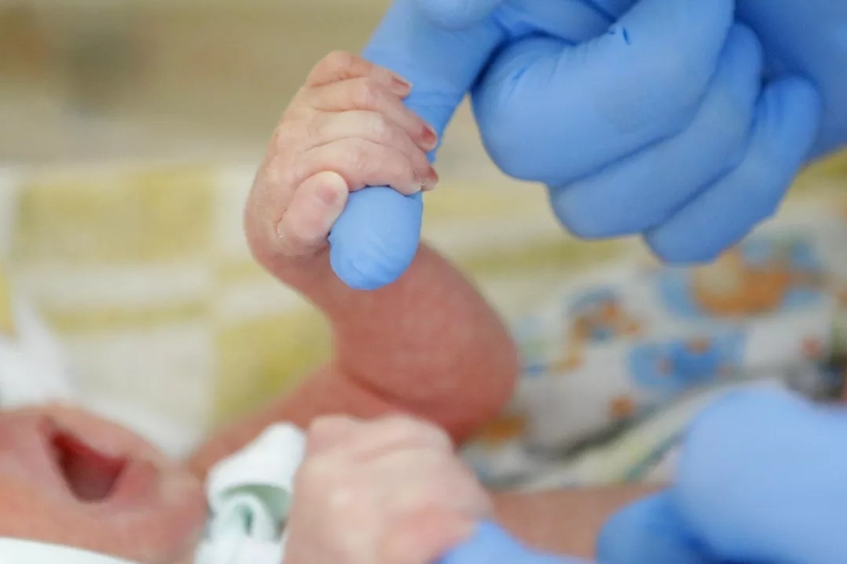    Фото: Антон Вергун, источник РИА Новости