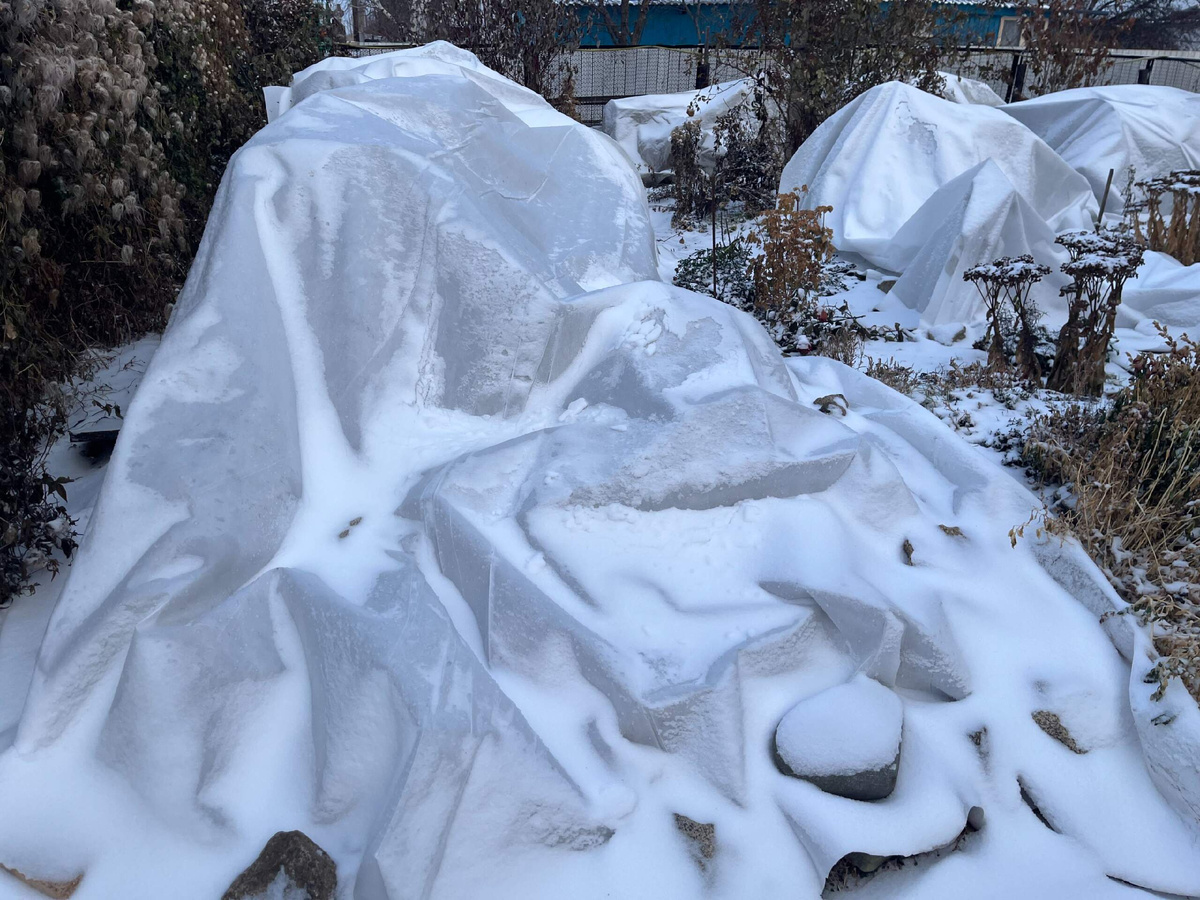 Вчера намочило дождиком и немного снежка, теперь не сдует.  фото автора