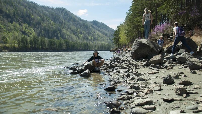     Бирюзовая Катунь. Дарья Беркетова