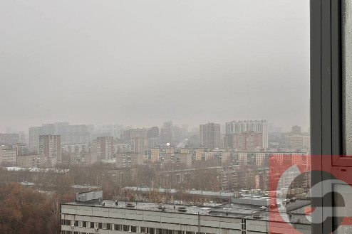    Фото: Прецедент