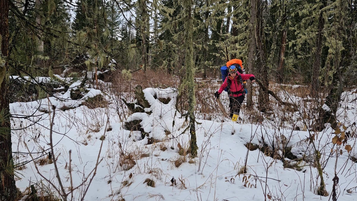 Пробираюсь к избе.