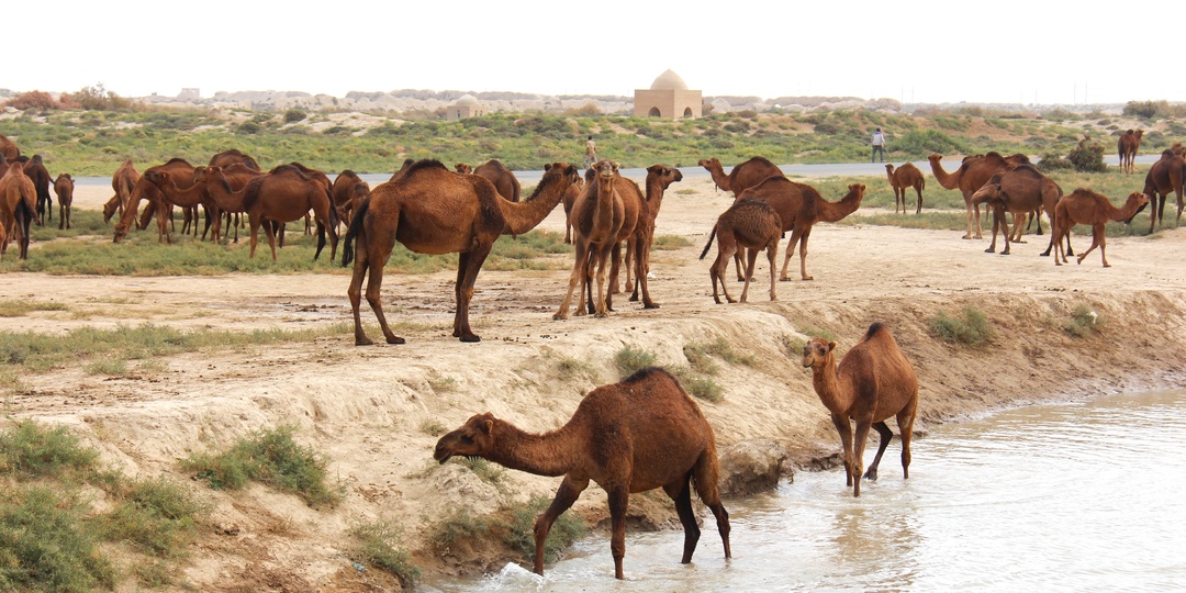 Туркменистан. Ашхабад – самый беломраморный город мира