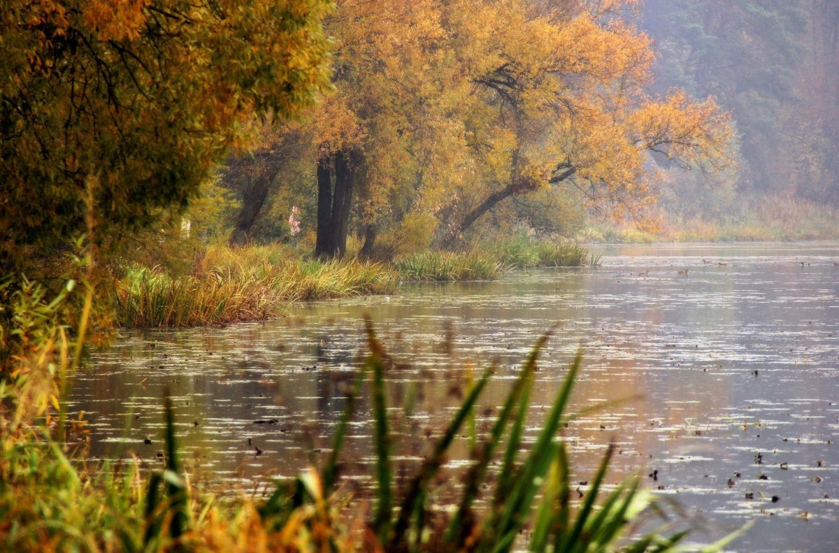 такая была судьба у матери и сына