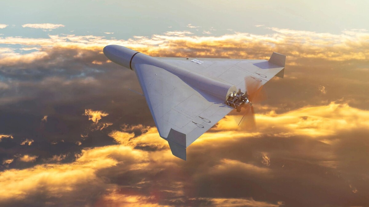    Фото: Anelo/Shutterstock/Fotodom