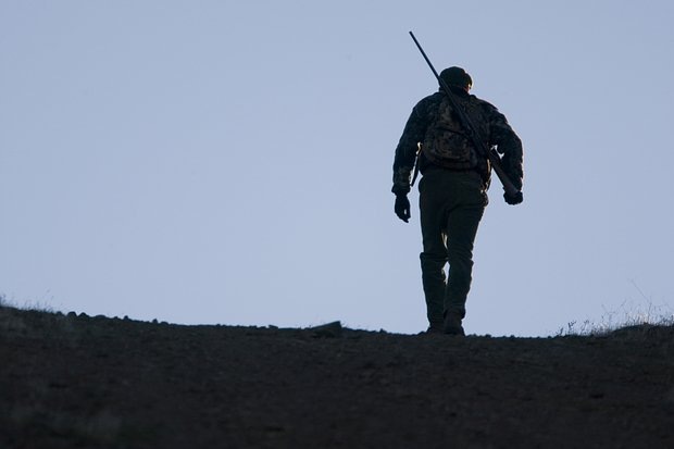    Фото: rhyman007 / Getty Images