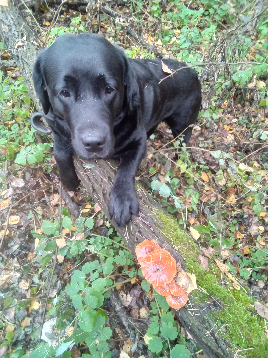 Фото автора. 