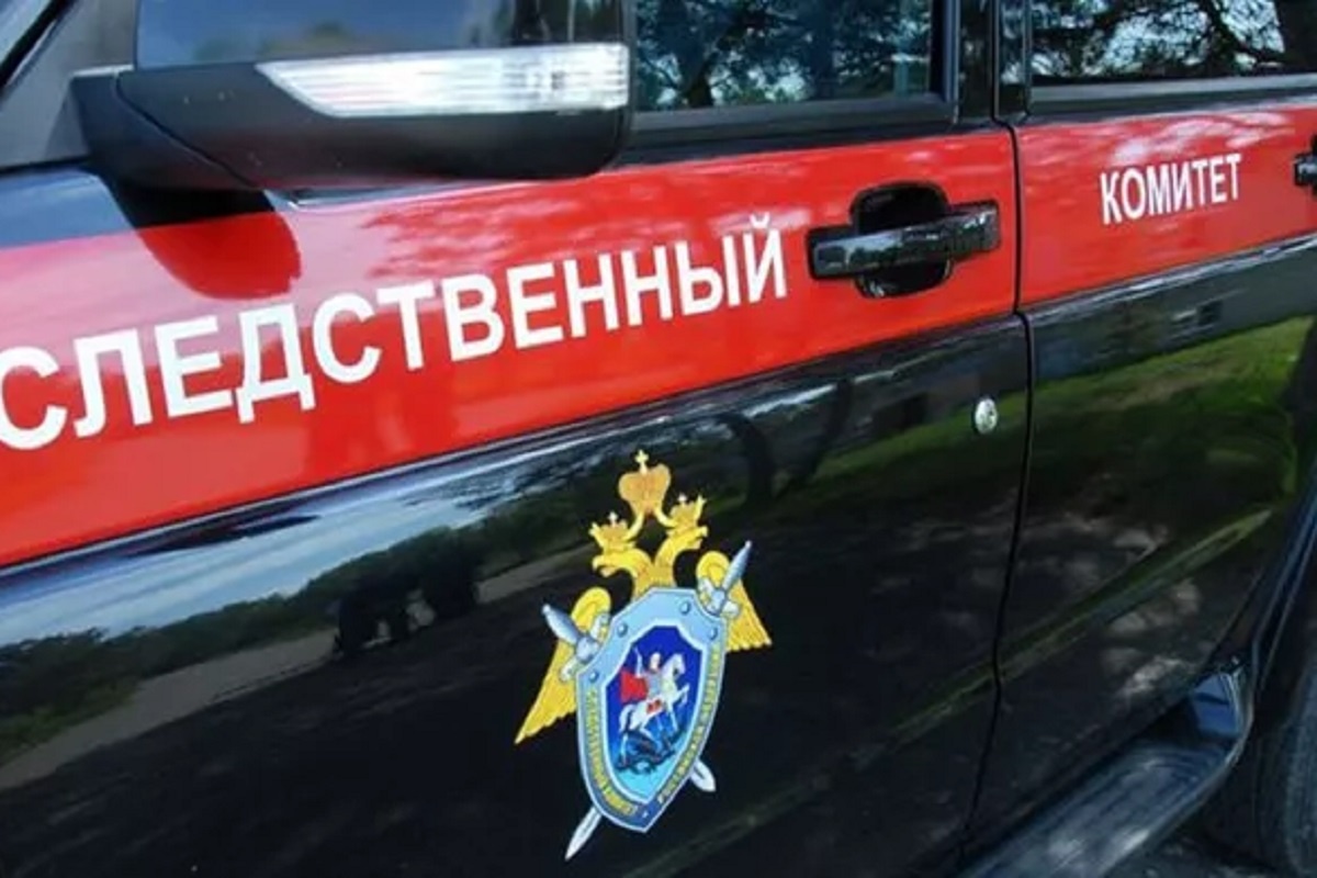    Фото: Пресс-служба, источник: Следственный комитет Российской Федерации