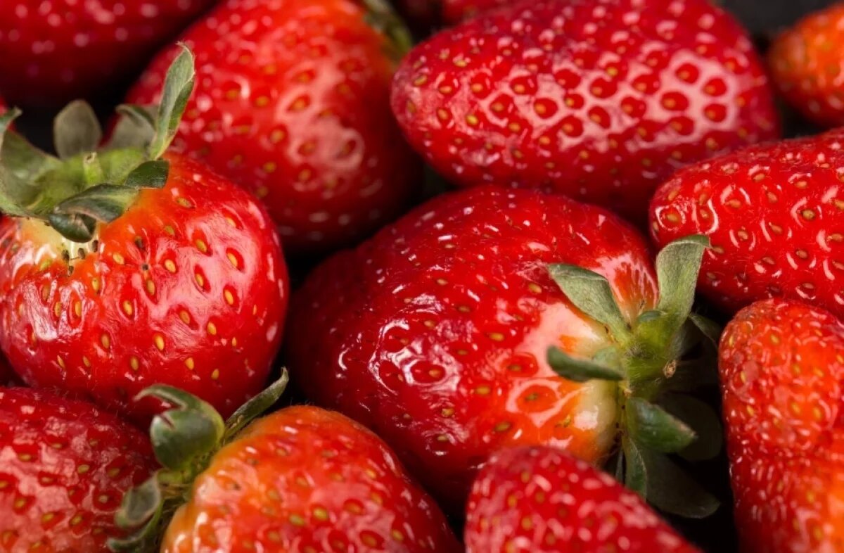    Тюменцам рассказали, как спасти клубнику от морозов