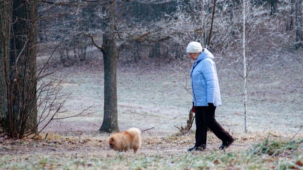    Фото:Oksana Korol/Globallookpress