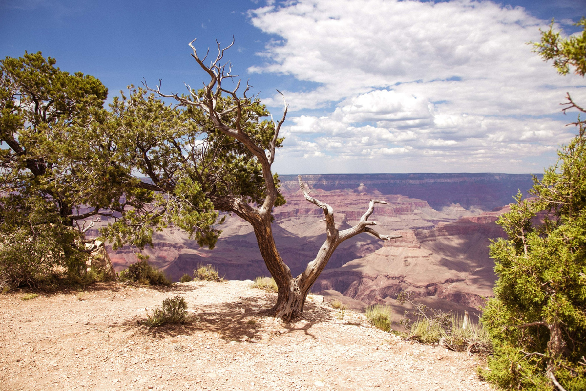На фото Гранд Каньон, одна из моих любимых, которую я сделала, путешествуя в Аризоне.