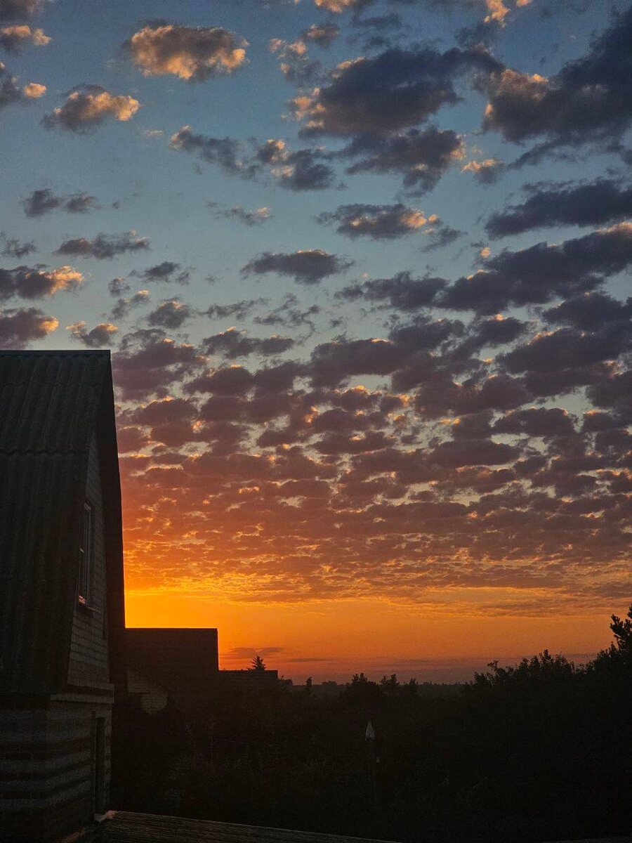 В Дзене все хмуро, но не для всех!!!