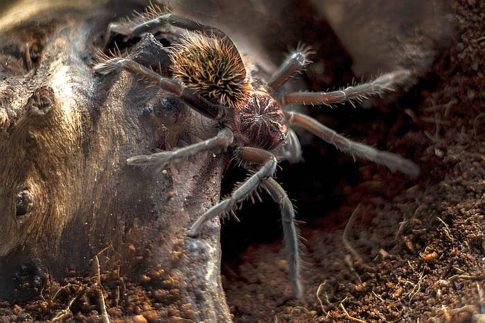 Фото из Интернета