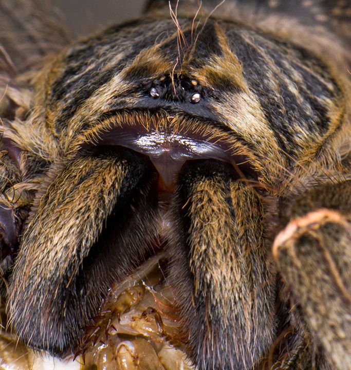 Фото из Интернета