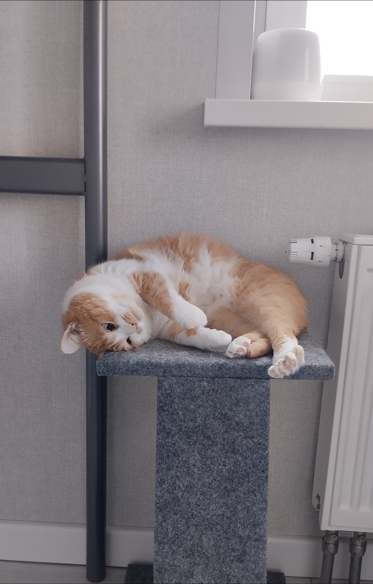 Снег, говоришь? Очень интересно, хотя, нет. Прибавь-ка батарею на максимум.