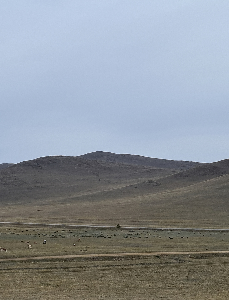 Трансфер от Иркутска до переправы на Ольхон сам по себе настраивает вас на другое ощущение реальности. Кроме хорошей асфальтовой дороги всё вокруг до такой степени "вне времени и пространства", что появление туменов Чингисхана на вершинах соседних сопок почти ожидаемо. Наличие технической остановки со всеми удобствами в этой местность менее реально,но тем более приятно, когда она случается.