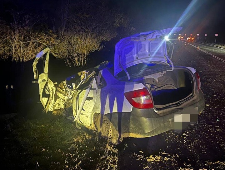    Фото ТГ-канала Госавтоинспекции РО Татьяна Пшеничная