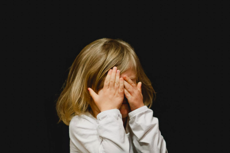 Фото: Фрипик