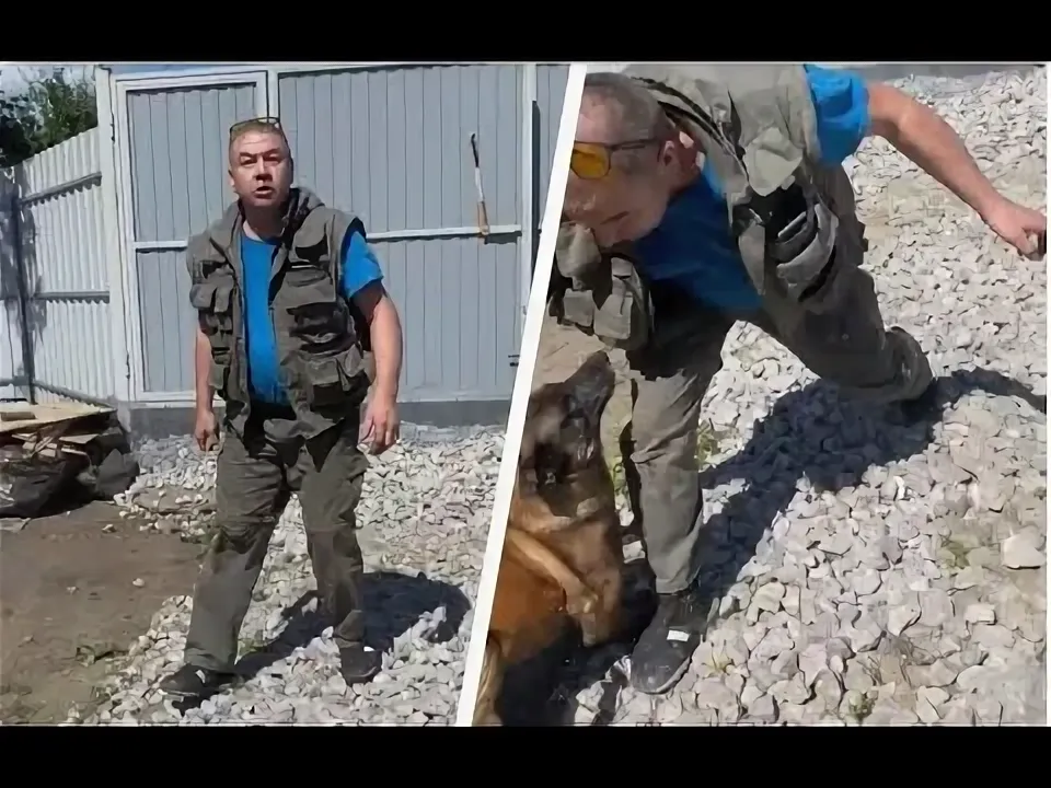 фото из сети