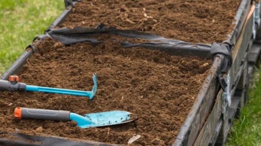 Так выглядит грядка перед посевом - семена раскладываю с запасом на случай невсхожести