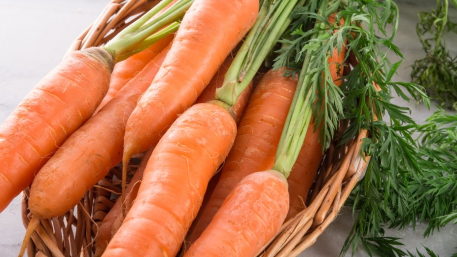 Выращиваю 7 сортов моркови 3 года подряд. Ни разу не подвели зимой